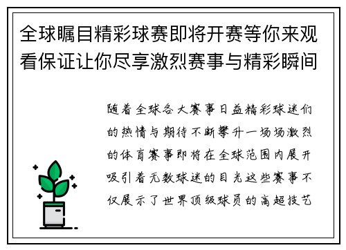 全球瞩目精彩球赛即将开赛等你来观看保证让你尽享激烈赛事与精彩瞬间