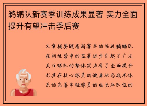 鹈鹕队新赛季训练成果显著 实力全面提升有望冲击季后赛